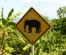 Watch out for elephants when driving